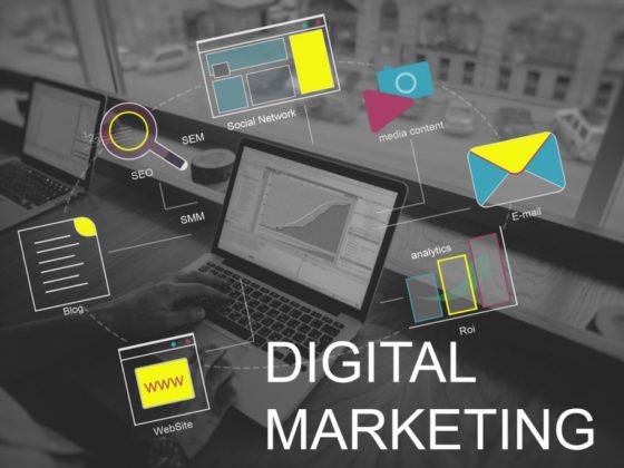Are You Looking For a Digital Marketing?